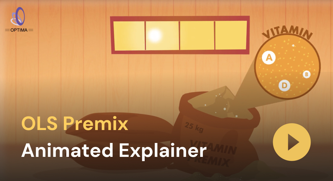 OLS Premix 2D Animation